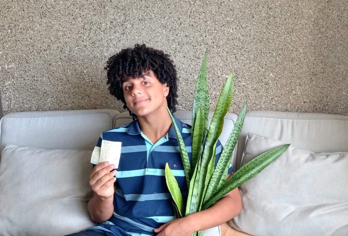 Estudante brasileiro consegue fabricar papel com planta